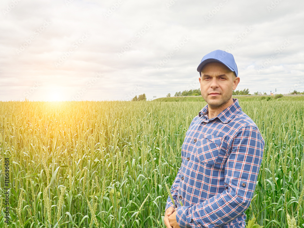 Farmer in plaid shirt controlled his field. Farmer in plaid shirt controlled his field.