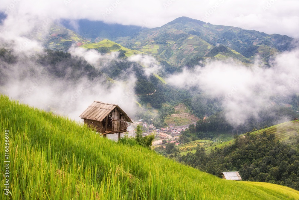 Fototapeta premium city of fog and rice terrace at mu cang chai ,northern of vietna