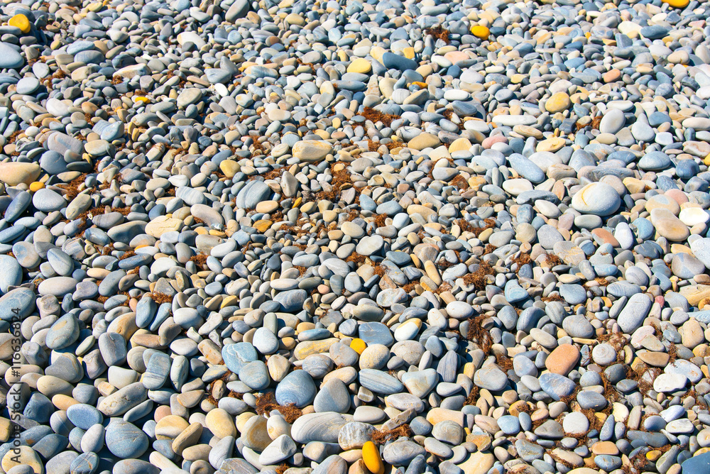 Background texture pebble beach Background texture pebble beach