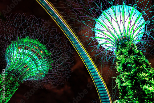 Photography Supertrees grove in the Gardens by the Bay of Singapore