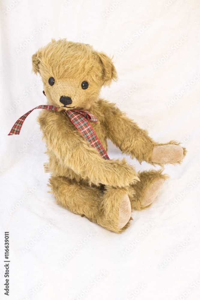 Old Antique Teddy Bear on Isolated Background Old Antique Teddy Bear on Isolated Background