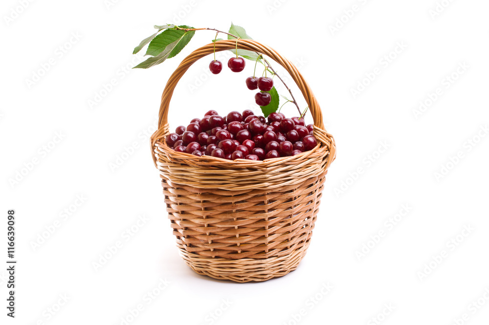 Basket full of fresh red cherry on a white background Basket full of fresh red cherry on a white background
