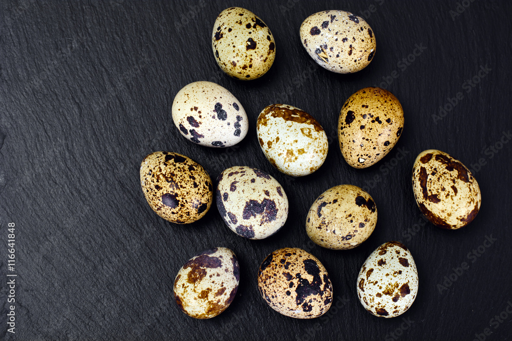 Quail Eggs on Black Background Quail Eggs on Black Background