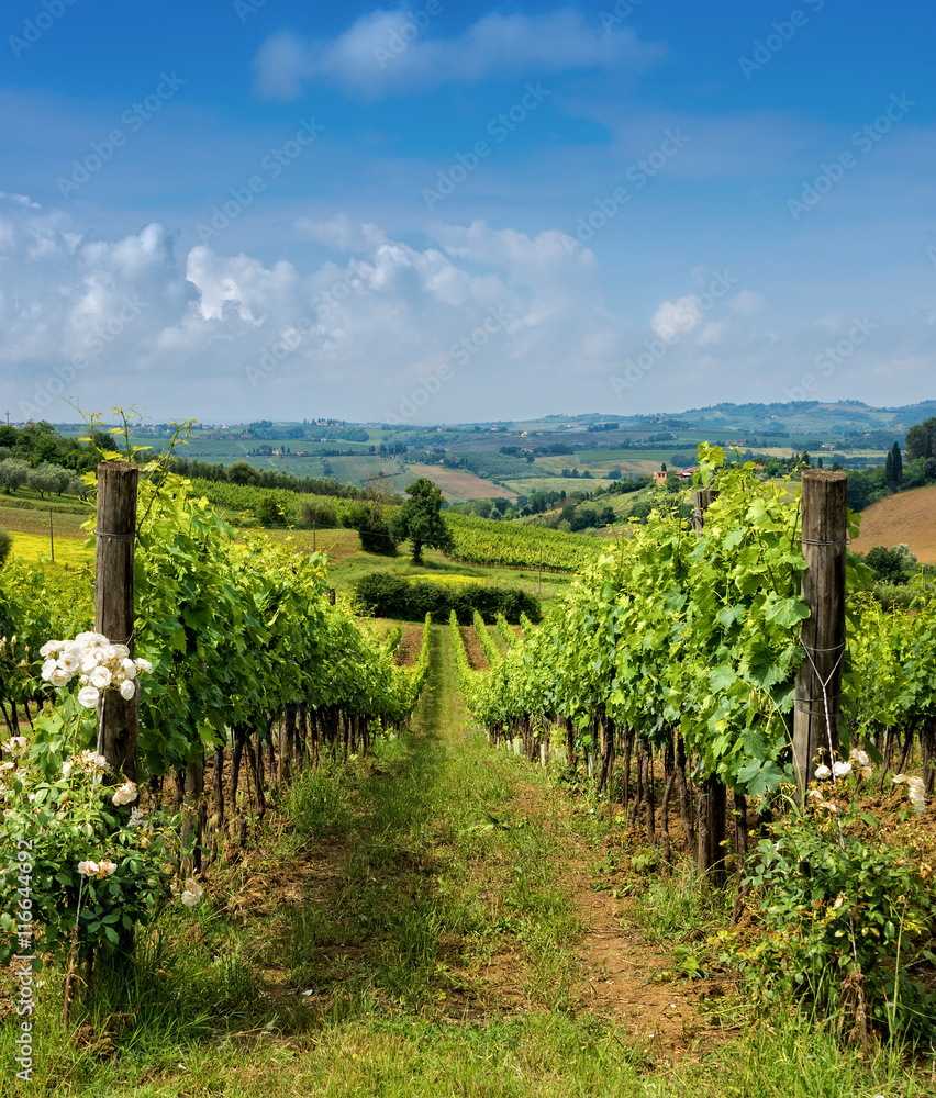 Countryside of Tuscany, Italy