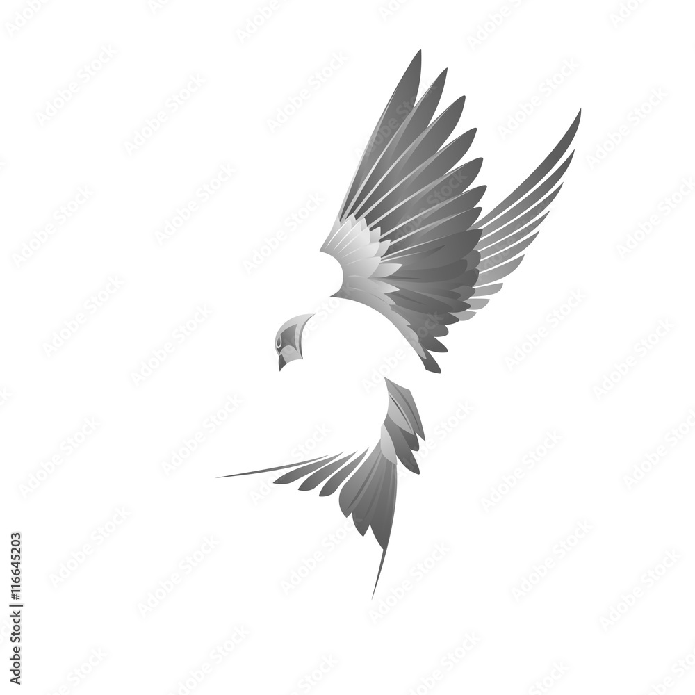 Bird illustration Bird illustration