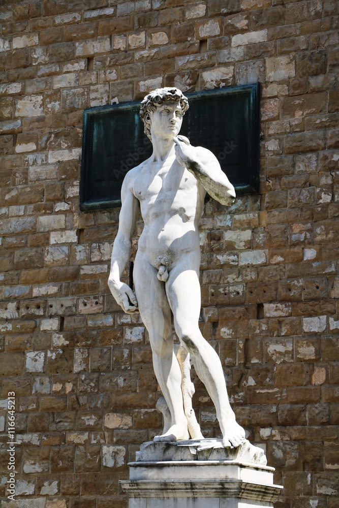 Naklejka premium David by Michelangelo in front of Palazzo Vecchio at Piazza della Signoria in Florence Italy