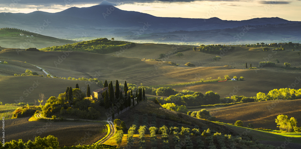 Naklejka premium Słynny toskański pejzaż.Słoneczny poranek w Toskanii,Val d'Orcia,Włochy