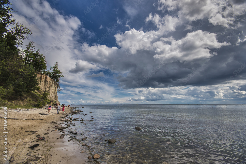 Fototapeta premium Klif Gdynia - Orłowo 