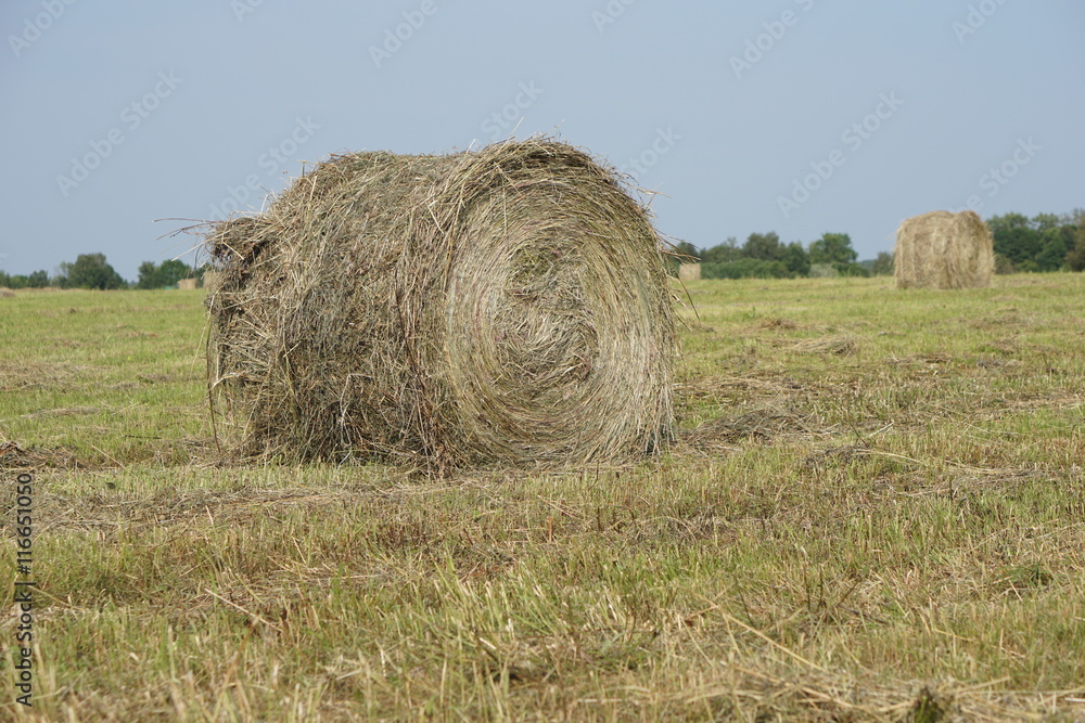 Rolling haystacks in countryside.