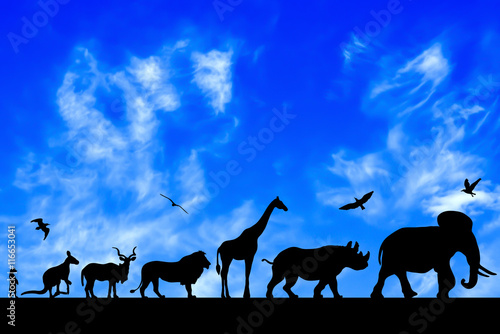 Silhouettes of animals on blue cloudy sky background