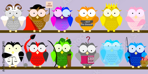 One owl for twelve zodiac signs