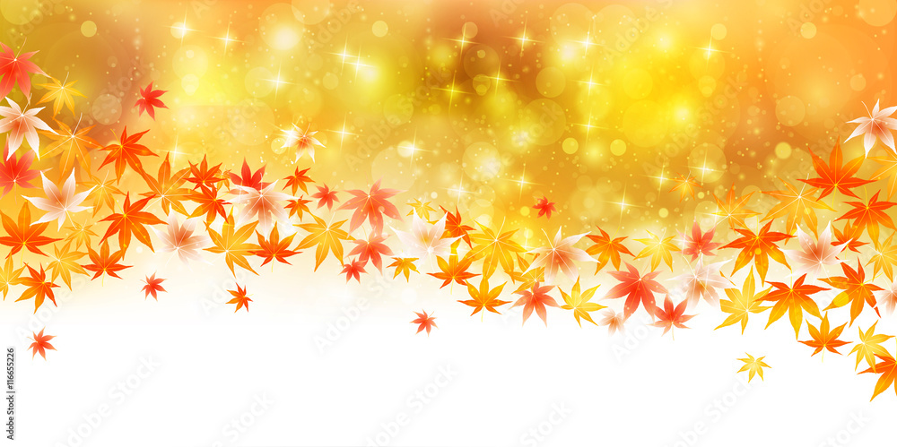紅葉 秋 風景 背景 紅葉 秋 風景 背景