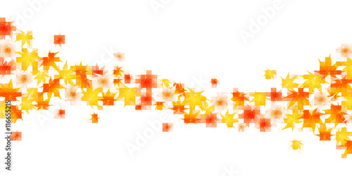 紅葉　秋　風景　背景