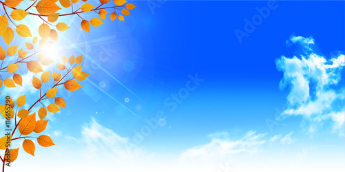 紅葉　秋　風景　背景