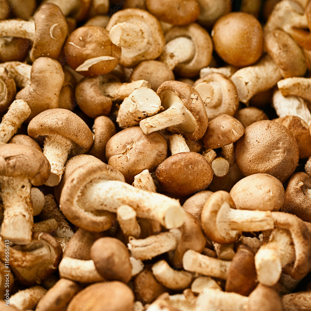 Edible mushrooms on the market