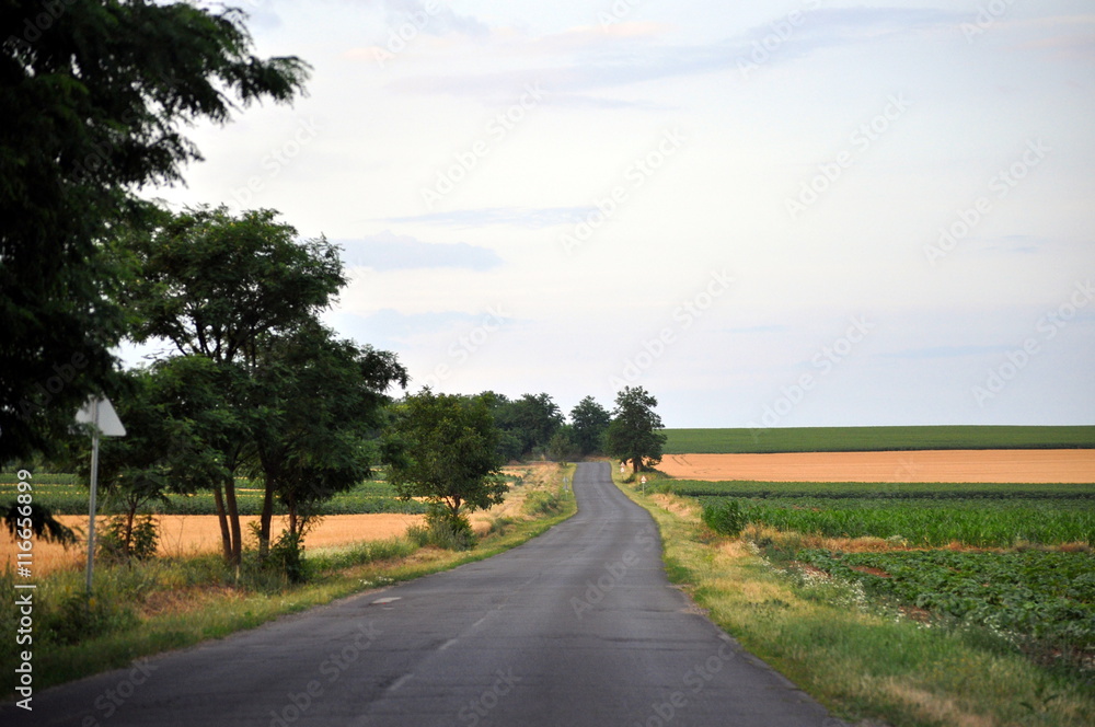 Highway between agricultural fields