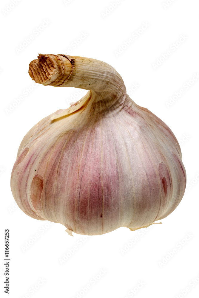 Obraz premium Head of garlic isolated on white background