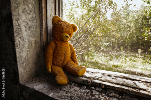 Murais de parede Old toy bear abandoned in the ruins.