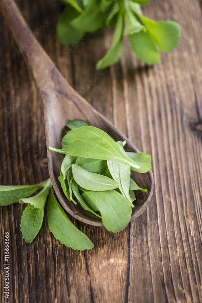 Stevia leaves (selective focus)