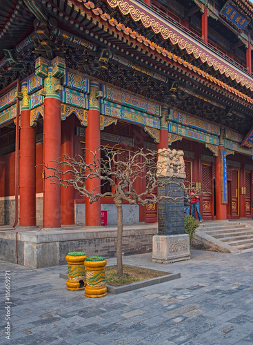 Famous Lama Temple in Beiji...