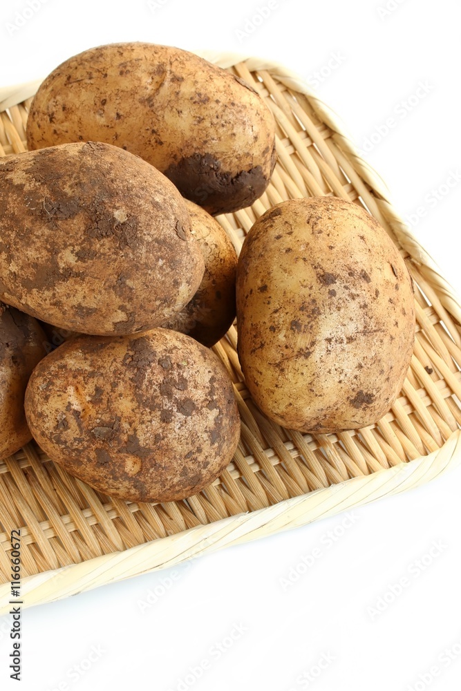 Freshly Harvested Potatoes on White Background Freshly Harvested Potatoes on White Background