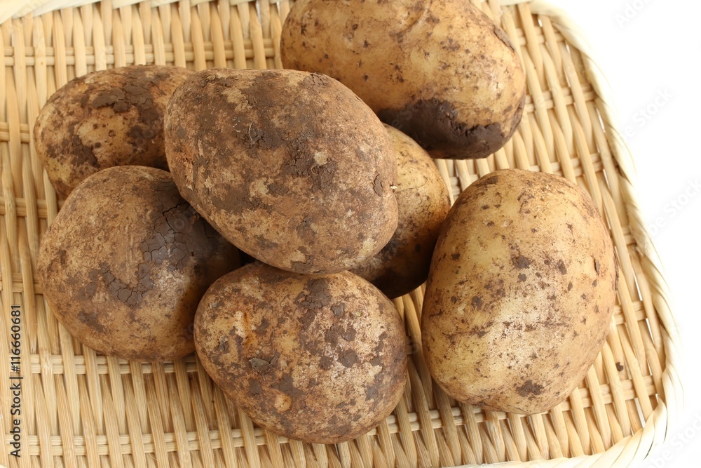 Freshly Harvested Potatoes on White Background Freshly Harvested Potatoes on White Background