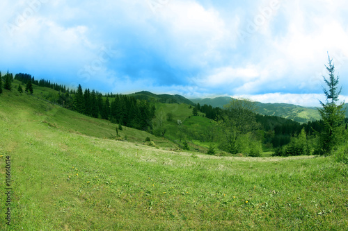 Forest green hills in mountains