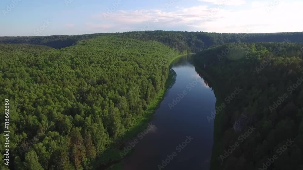 along river bed in green wild forest aerial view in sunny day along river bed in green wild forest aerial view in sunny day