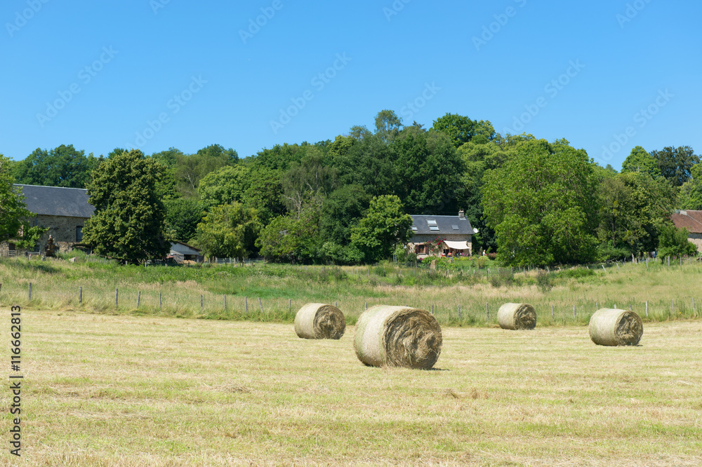 Hay roll in France