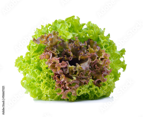 Red and green oak lettuce on white background