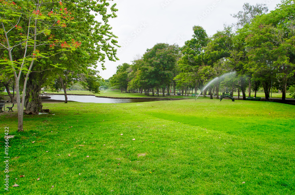 Obraz premium green grass field in big city park