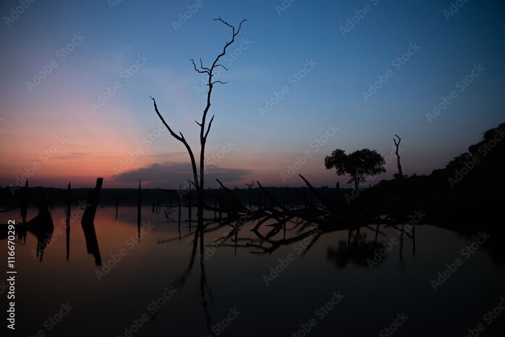 Silhouette of tree in lake at sunset,northern of Thailand.