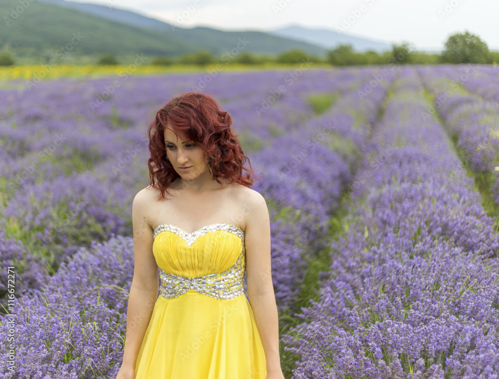 Girl in a lavender field Girl in a lavender field