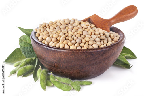 freshly harvested domestic soybeans in a wooden bowl with leaves and green beans