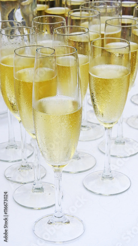 Several white champagne glasses.