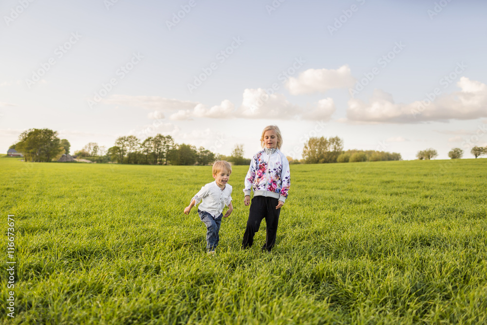 Happy brother and sister standing on grassy field Happy brother and sister standing on grassy field