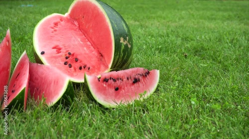 sliced watermelon on grass