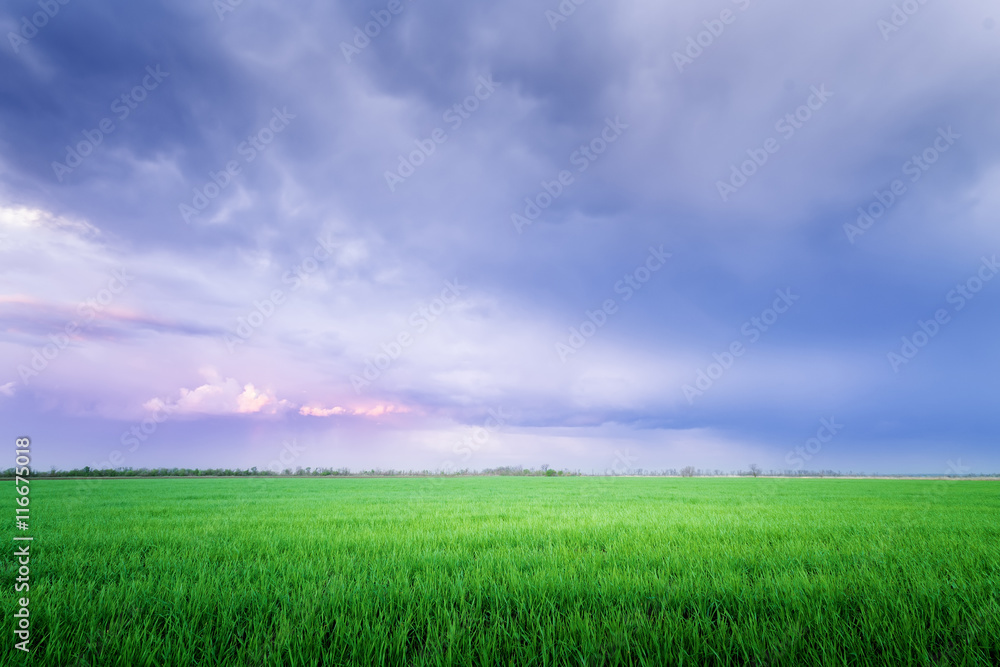 Obraz premium clouds over the field / bright colorful picture spring evening u