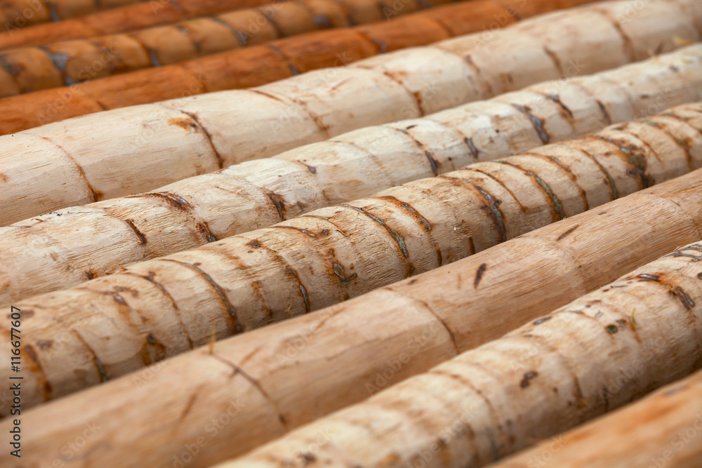 Logs of palm trees - material for tropical construction Logs of palm trees - material for tropical construction