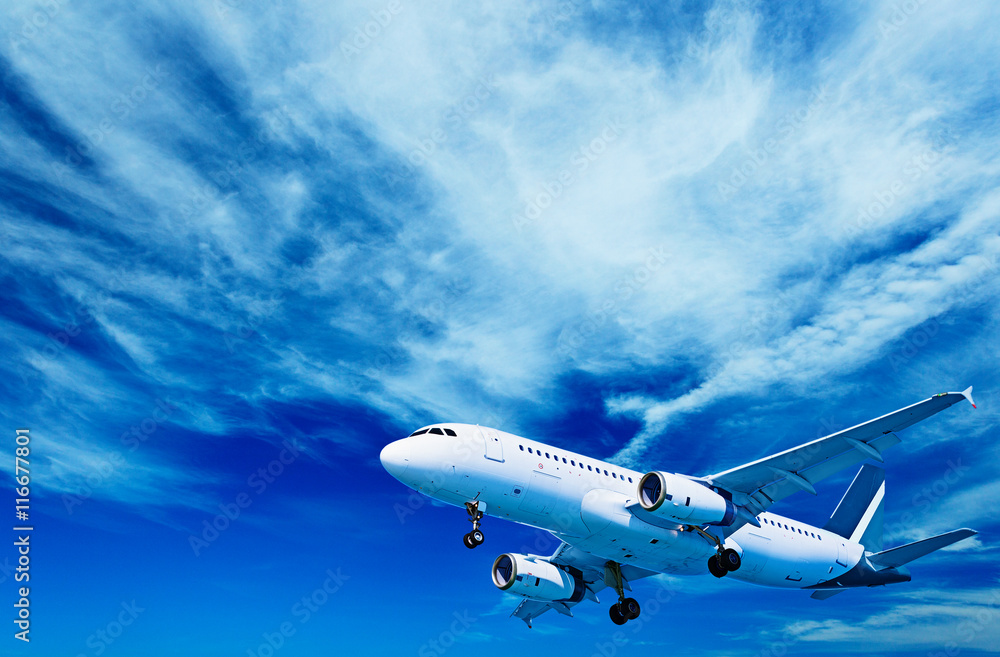 Fototapeta premium Aircraft on a cloudy sky background