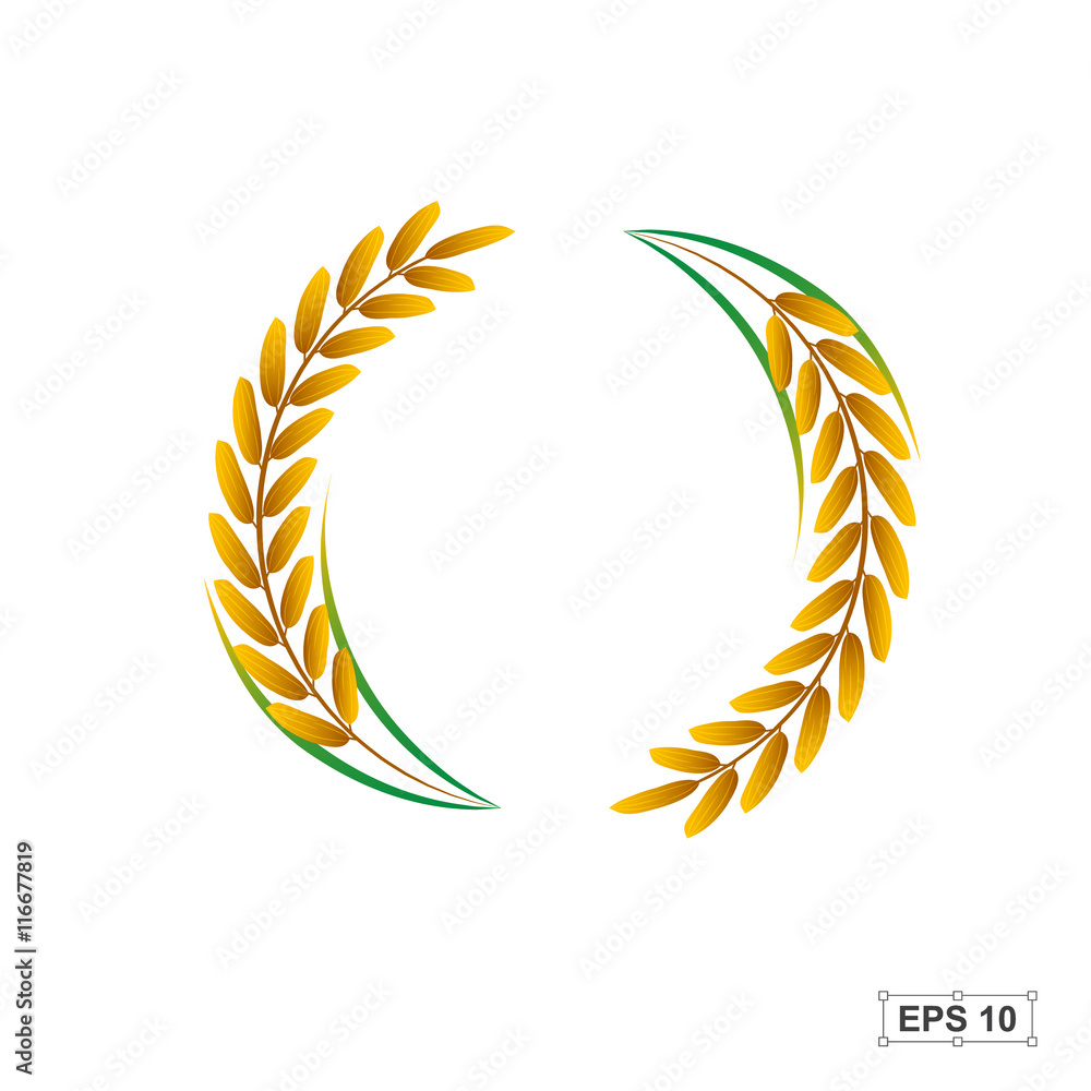 Rice,Vector illustration Rice,Vector illustration
