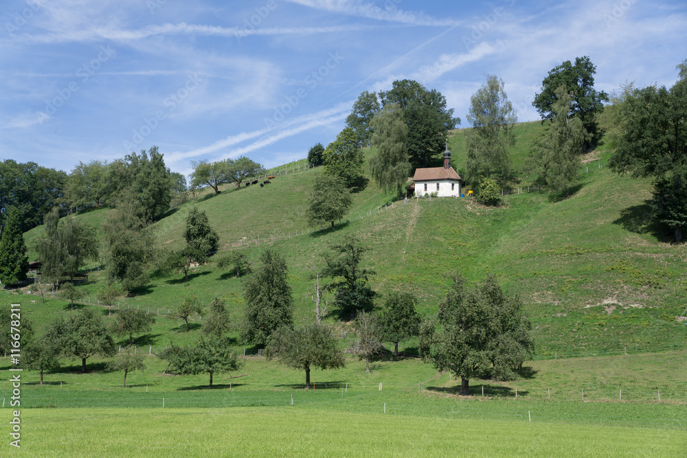 Lovely view over the beautiful greenery at the countryside in Switzerland Lovely view over the beautiful greenery at the countryside in Switzerland