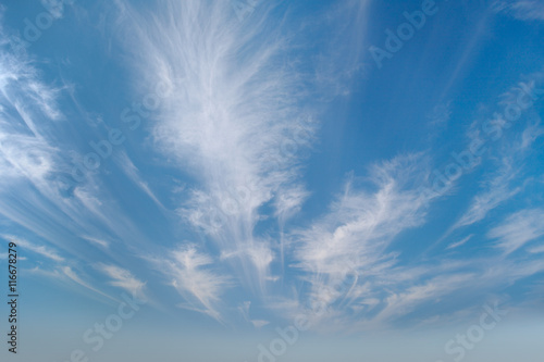 Billede på lærred Sky with cirrus clouds photographed by wide angle