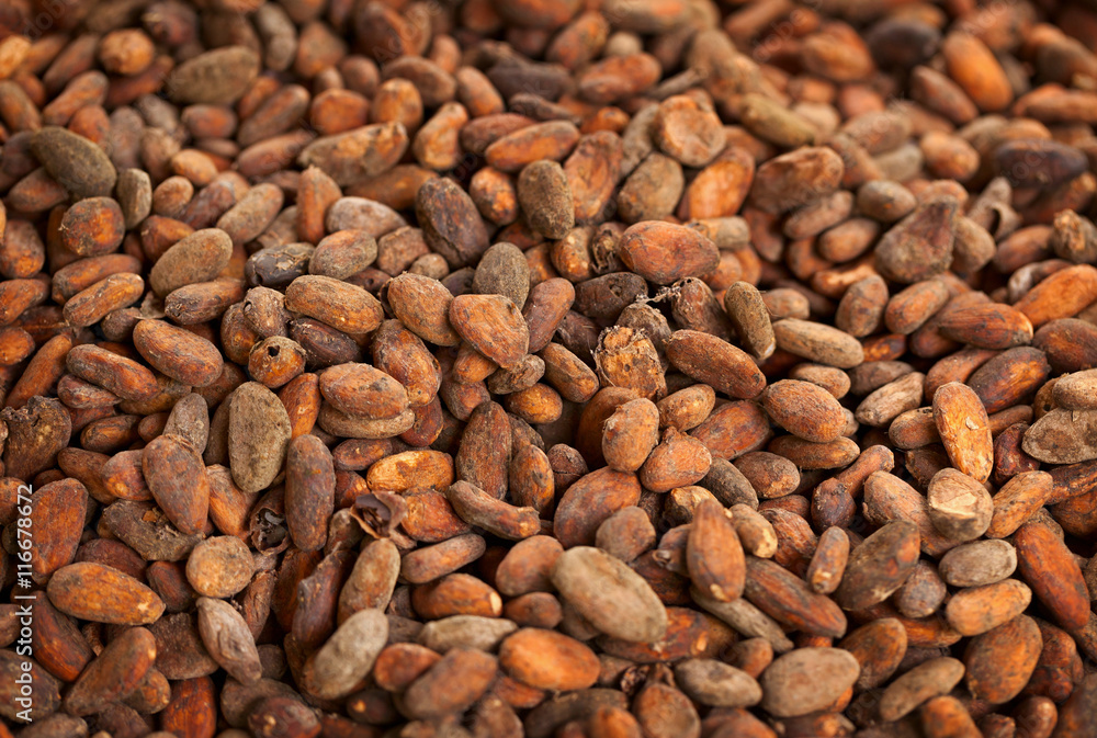 Cocoa beans background Cocoa beans background