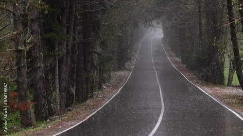Road in the Forest in Heavy Rain