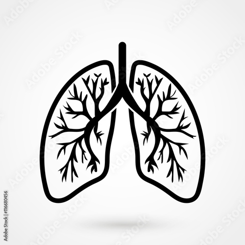 Human Lungs icon