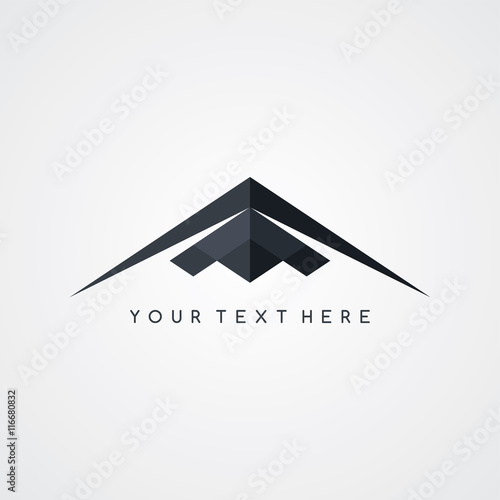 stealth logo aircraft airplane logotype