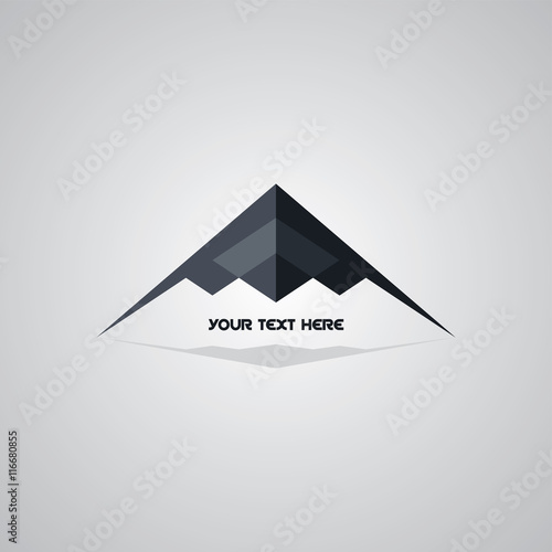 stealth logo aircraft airplane logotype
