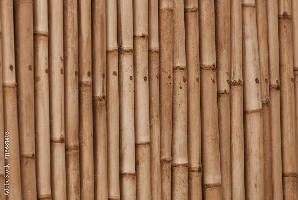 Fototapeta premium Bamboo old brown wall background