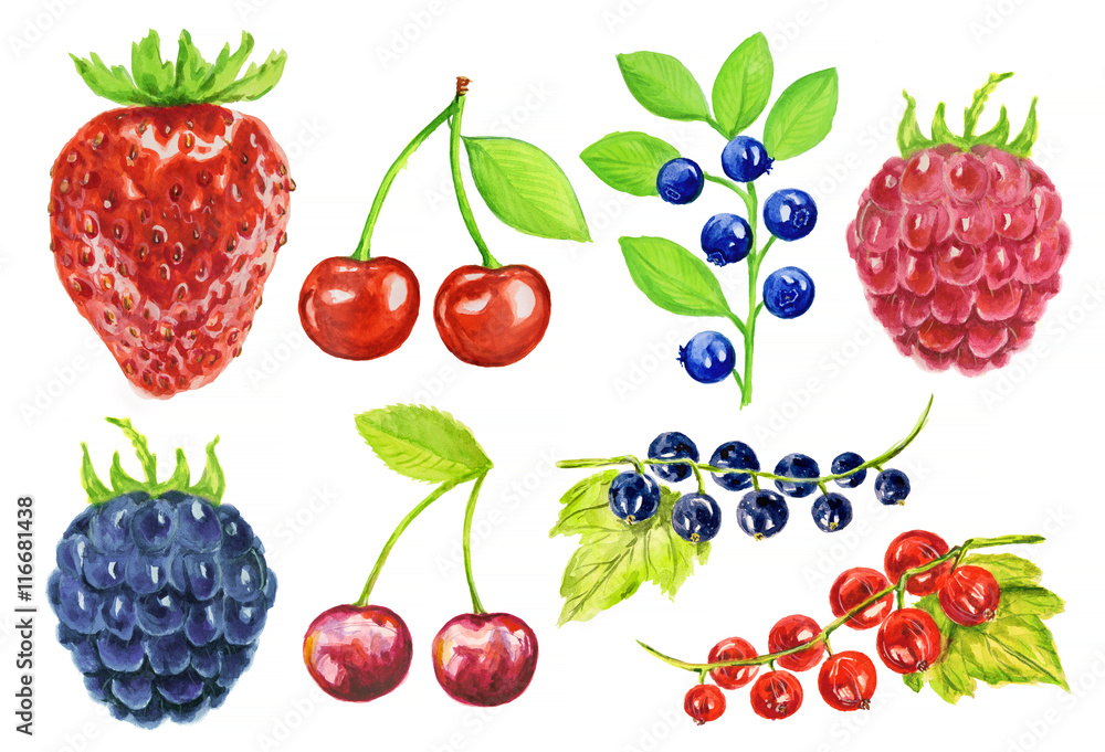 Watercolor berries set on white background. Fresh healthy set of different kind of berries as strawberry, blackberry, cherry and more. Watercolor berries set on white background. Fresh healthy set of different kind of berries as strawberry, blackberry, cherry and more.